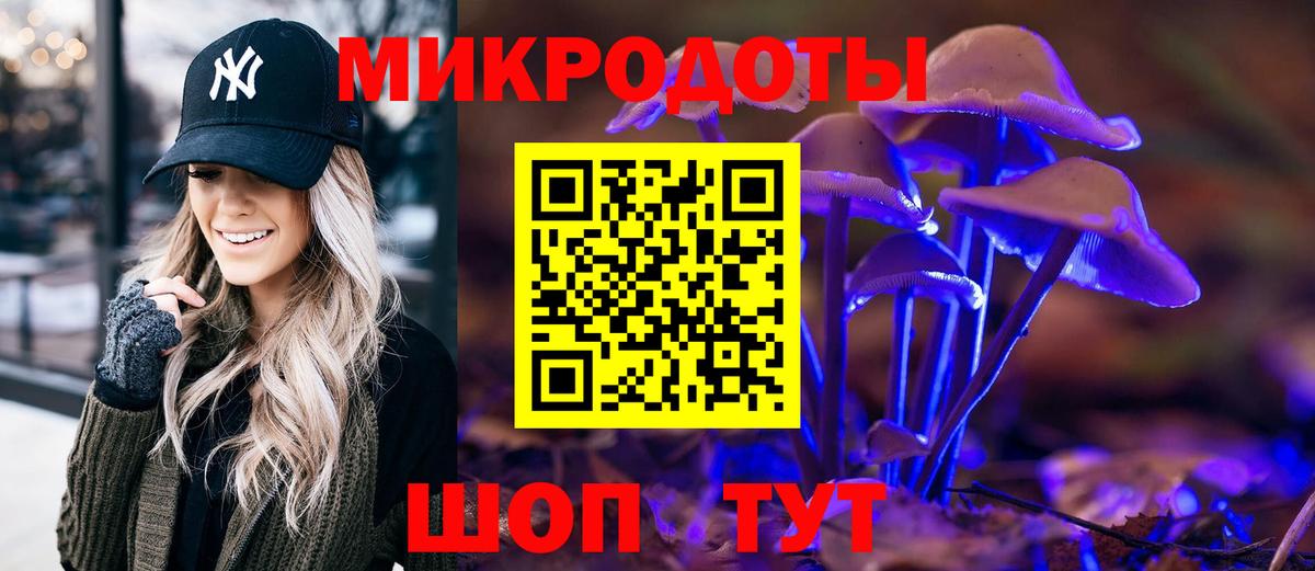 продажа наркотиков  Вход с VPN  Псилоцибиновые грибы Psilocybine cubensis  Выкса  Псилоцибиновые грибы Psilocybine cubensis 